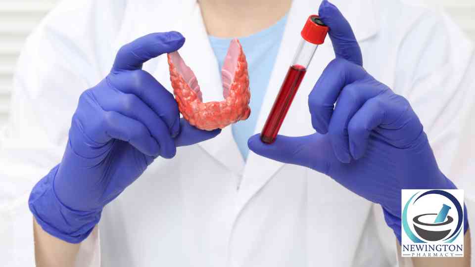 medical professional holding blood test and model of thyroid
